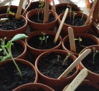 /album/fotogalerie/das-ei-565-jpg/